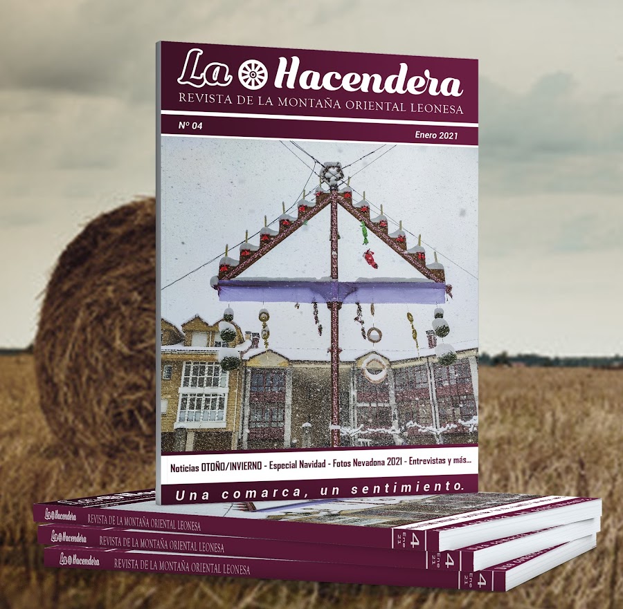 Diario de Valderrueda